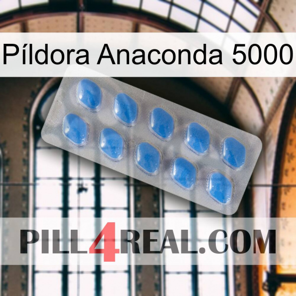 Píldora Anaconda 5000 22.jpg